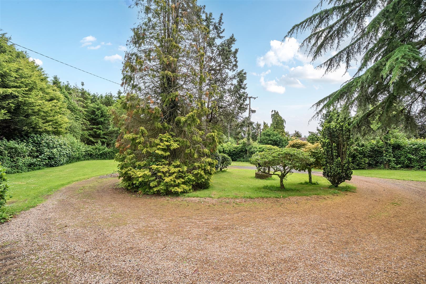 Property Image 67c7a4ee-488c-4b45-9827-6c9010df4af9