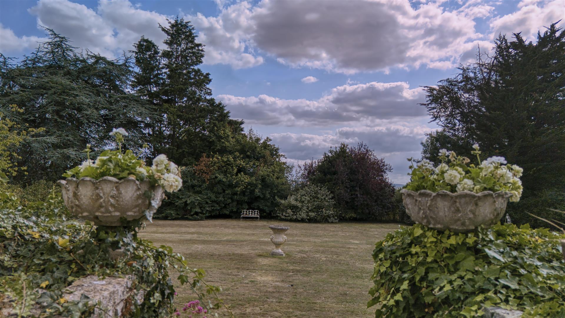 Image 12