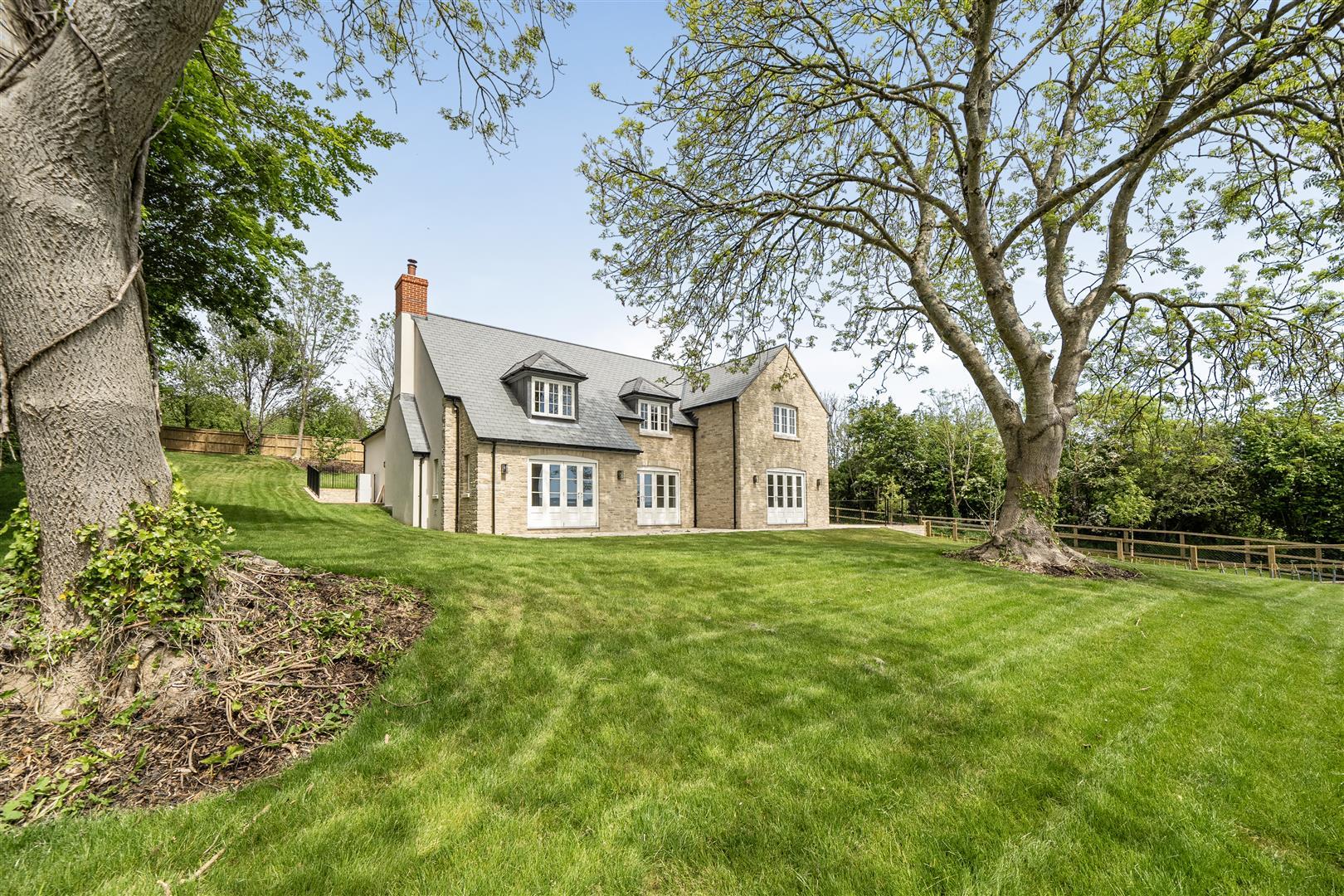 Property Image 67e0986d-50c8-4125-bbee-9b82a45ca0f6