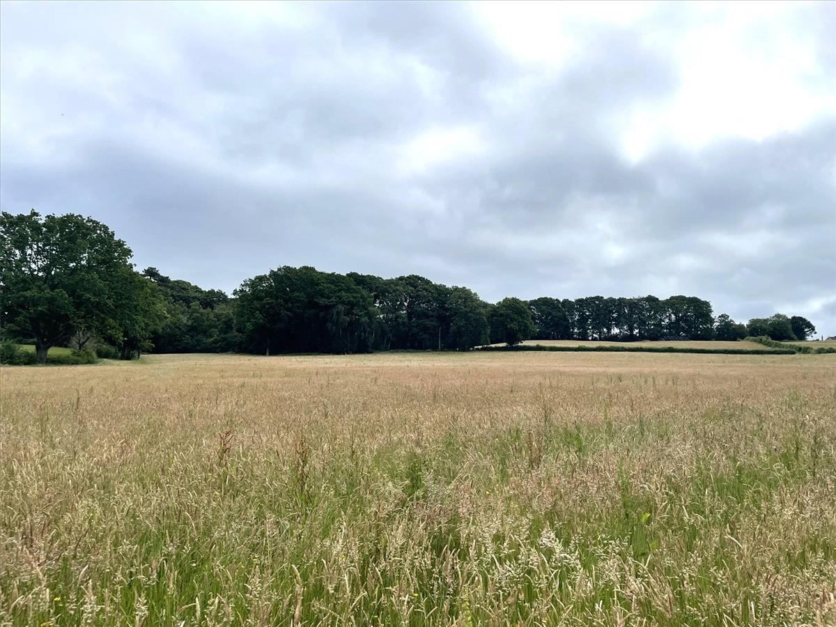 Property Image 67e9447b-9e8b-496a-a623-757b6d212a87