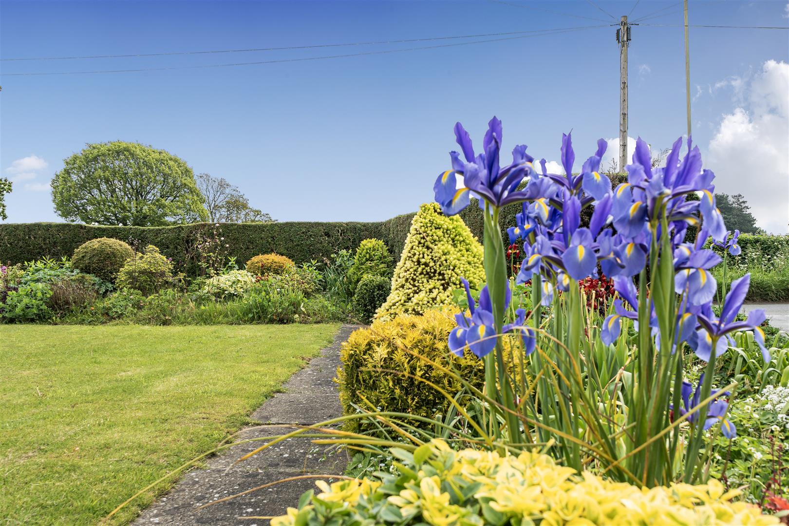 Property Image 67ef807b-c84c-48d9-b7d5-d7fe244ded9d