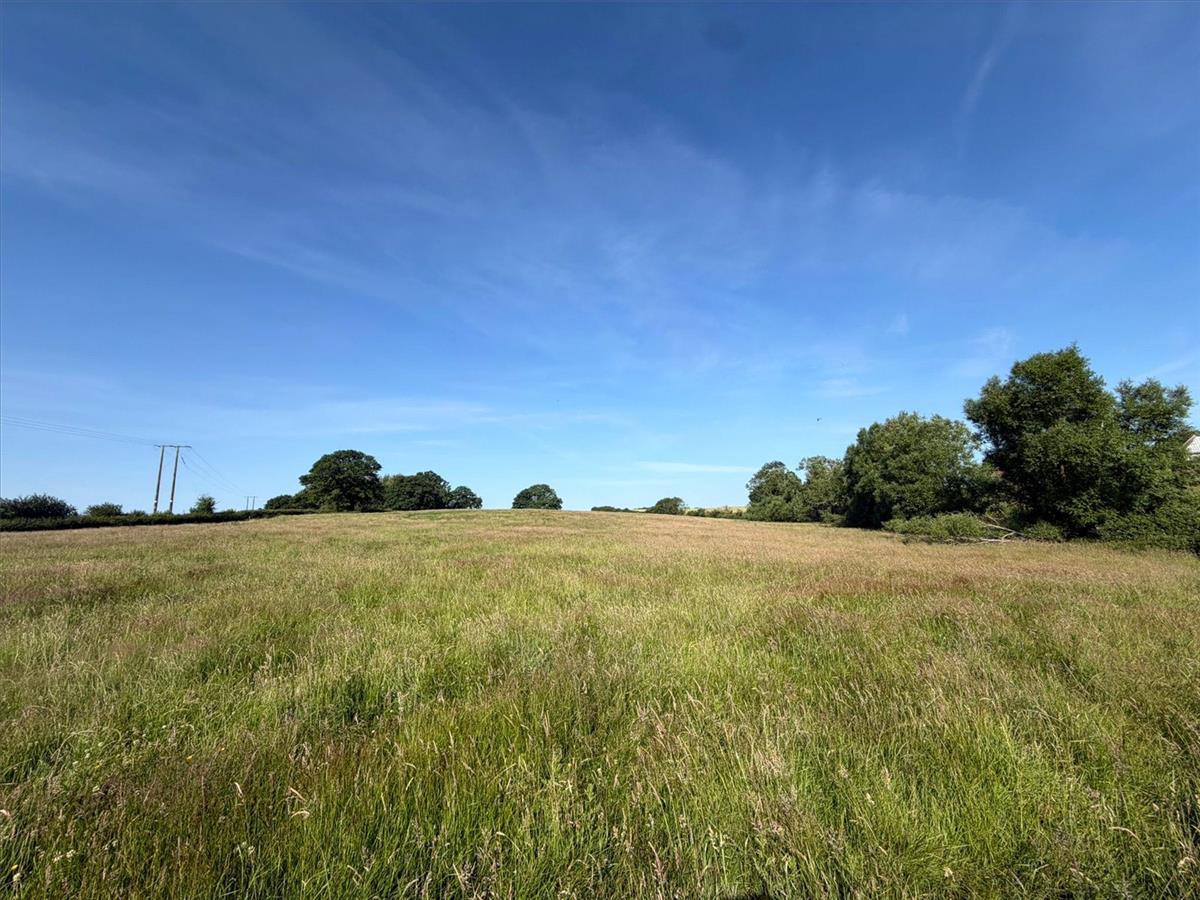 Property Image 6804e0ad-7393-4408-b1d1-0df302089be0