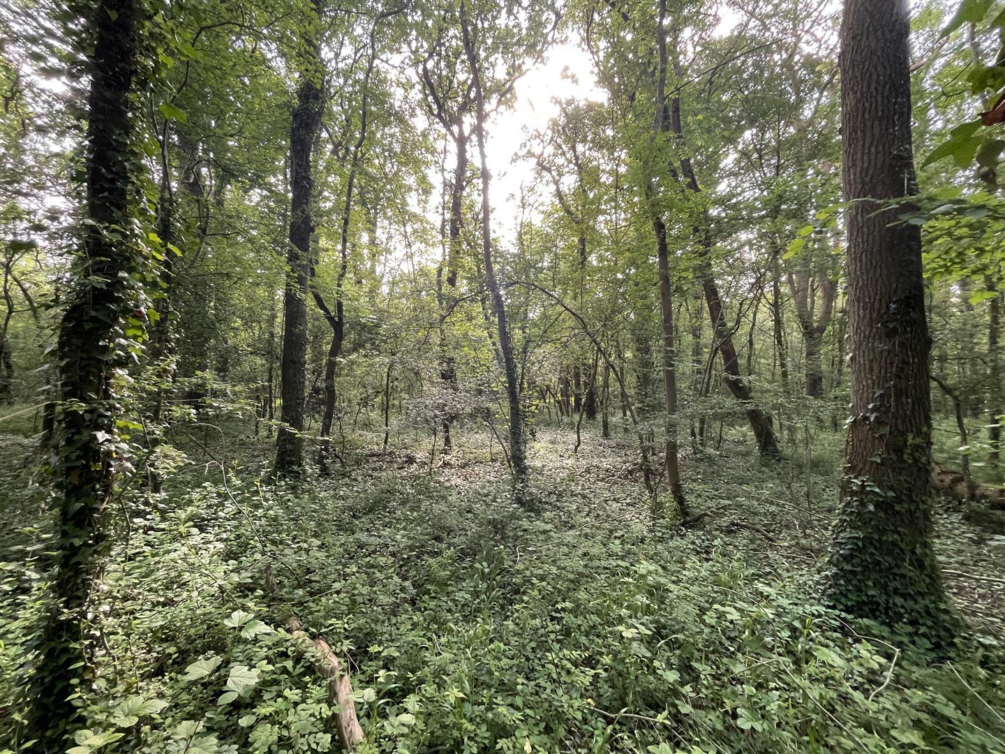 Property Image 683c4a22-529b-4387-96a8-d187ed2d08d2