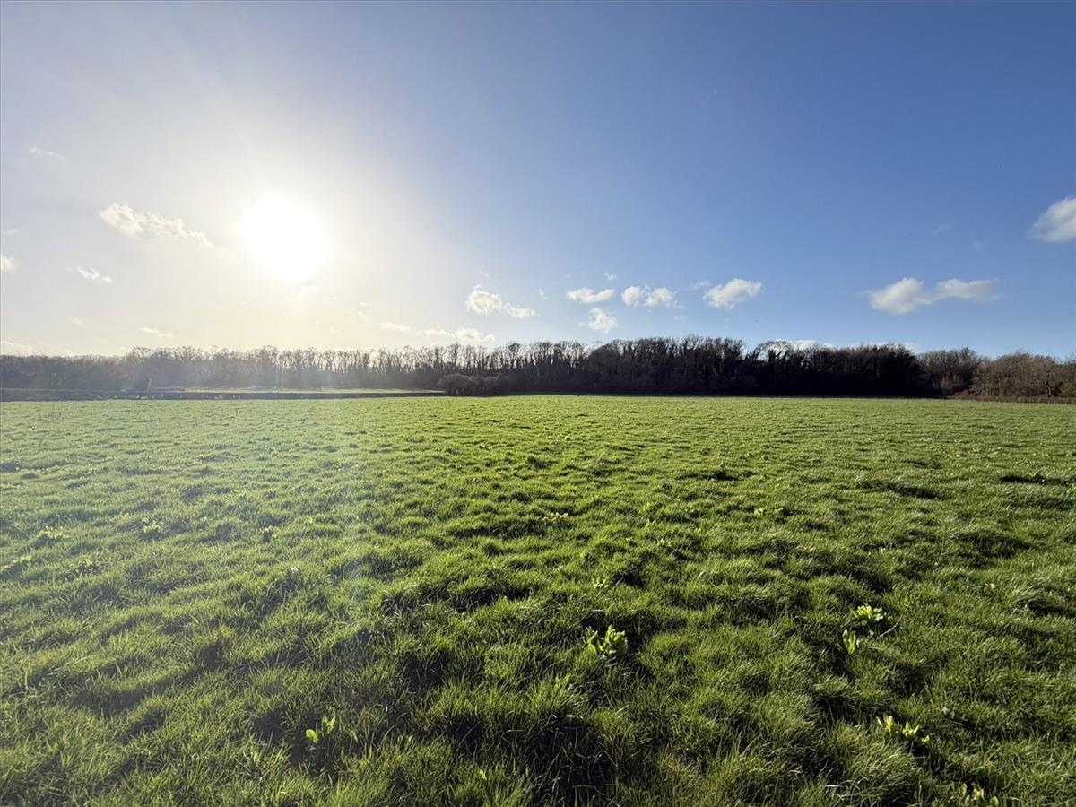 Property Image 68b8ded9-55db-4846-8879-e7981a697691