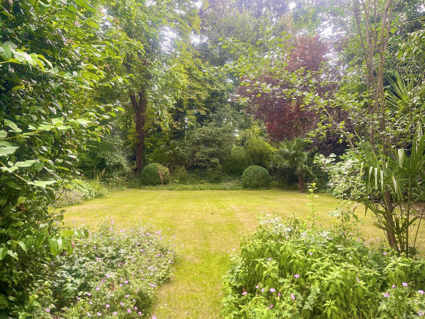 Property Image 68bd64ef-be64-4b14-beb7-40e61a4c1e0d