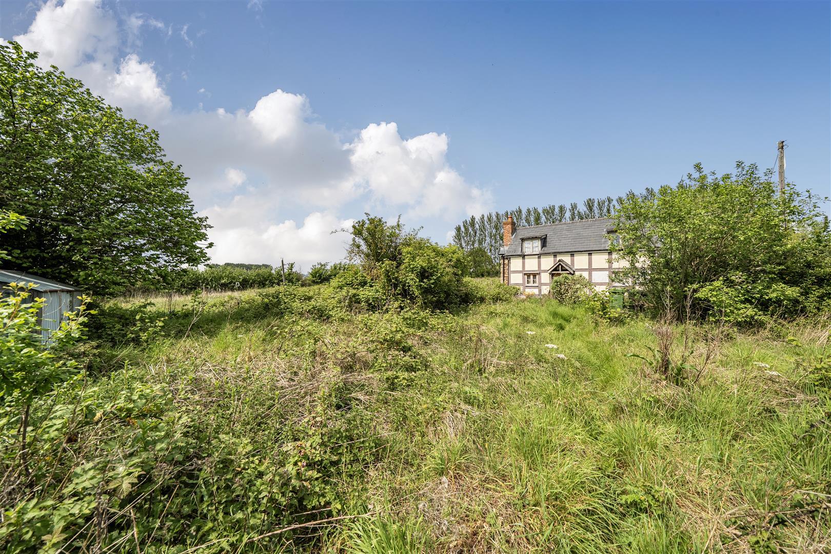 Property Image 68c9a121-0b9c-471d-b6f6-5e91566dd67f