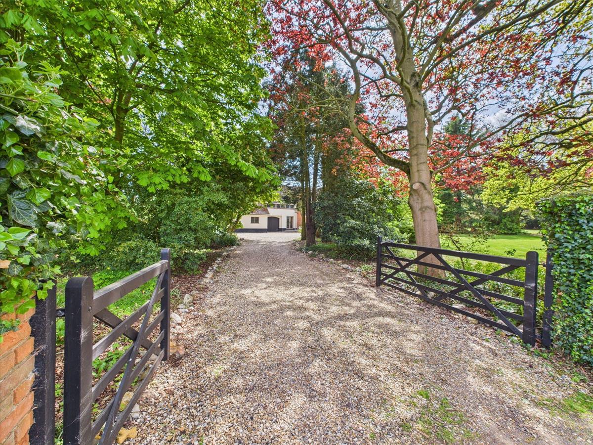 Property Image 68e953dc-94f6-4dcc-bbc0-fe65612bc0ee
