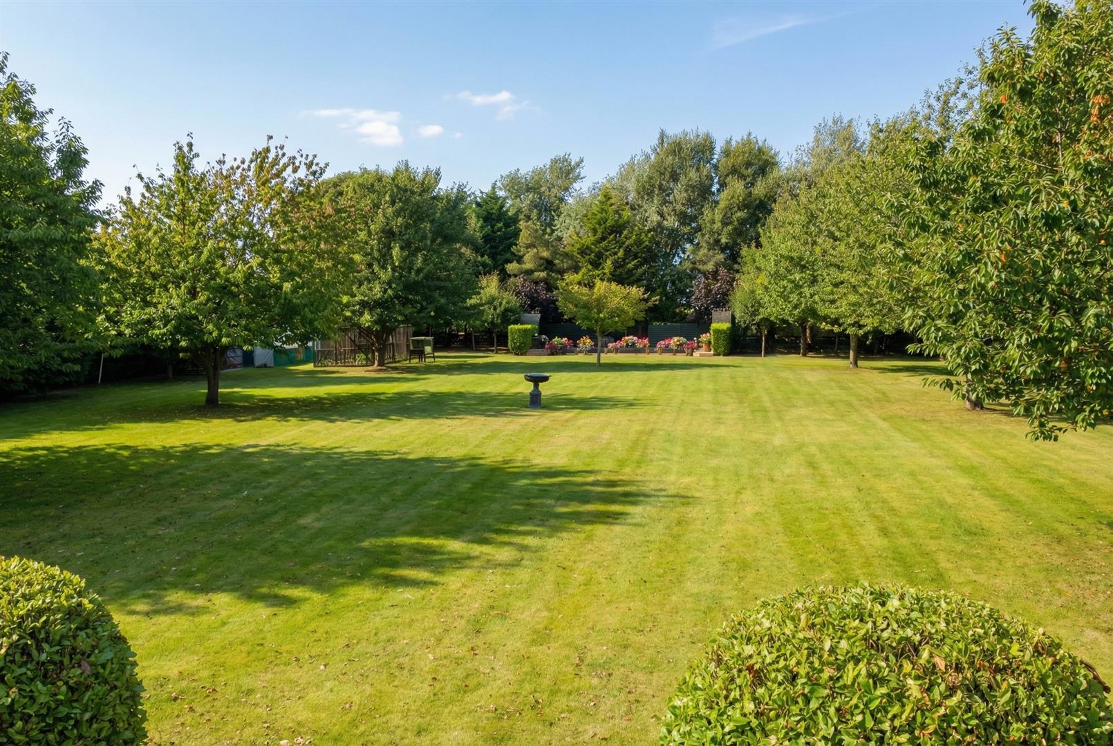 Property Image 69023740-493c-4129-a029-48245c5919d9