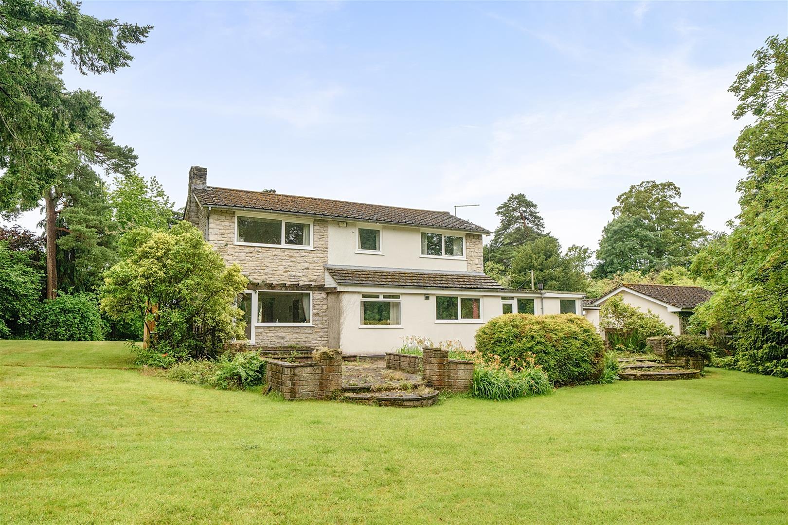 Property Image 69112298-3b53-486f-a6ff-4b0c9615697b