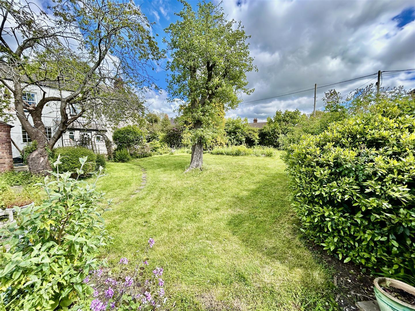 Property Image 692278ee-387c-4d34-b1a1-fab932e15ca8