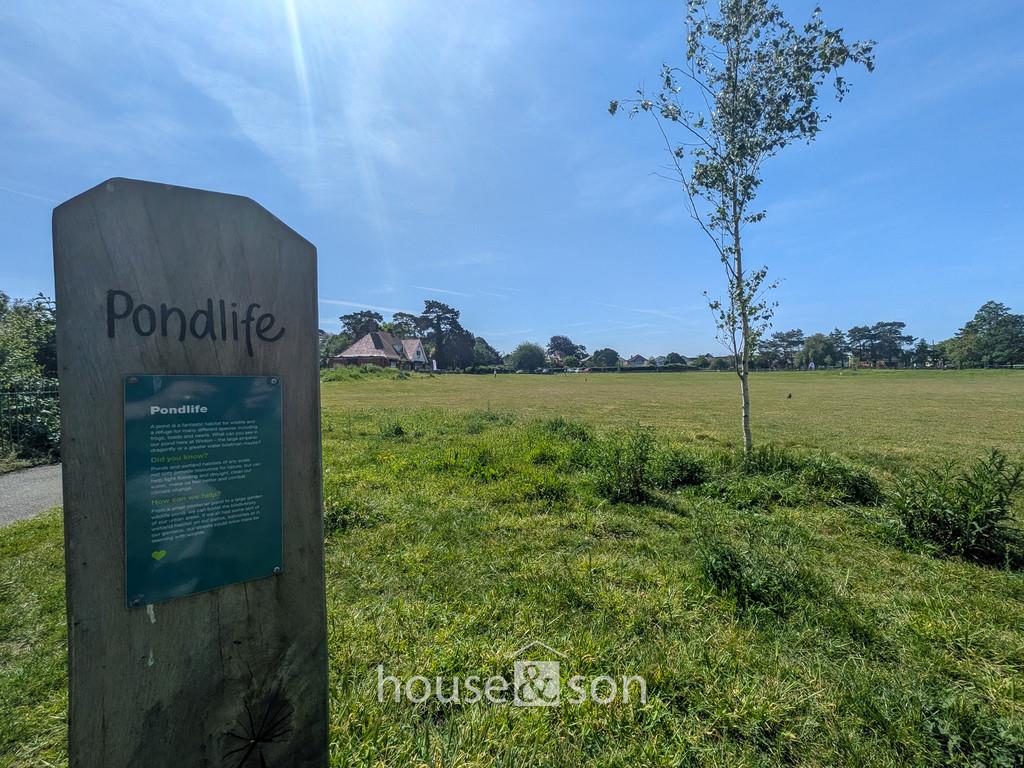 Property Image 69296df4-b663-4b99-ad3d-cc125e7da4b4