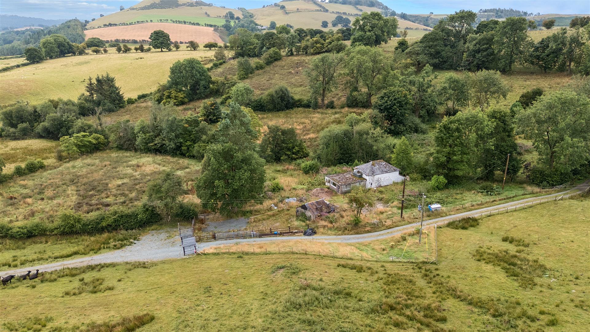 Property Image 695f24d6-e546-449a-bb78-69c9c5fcc2b9