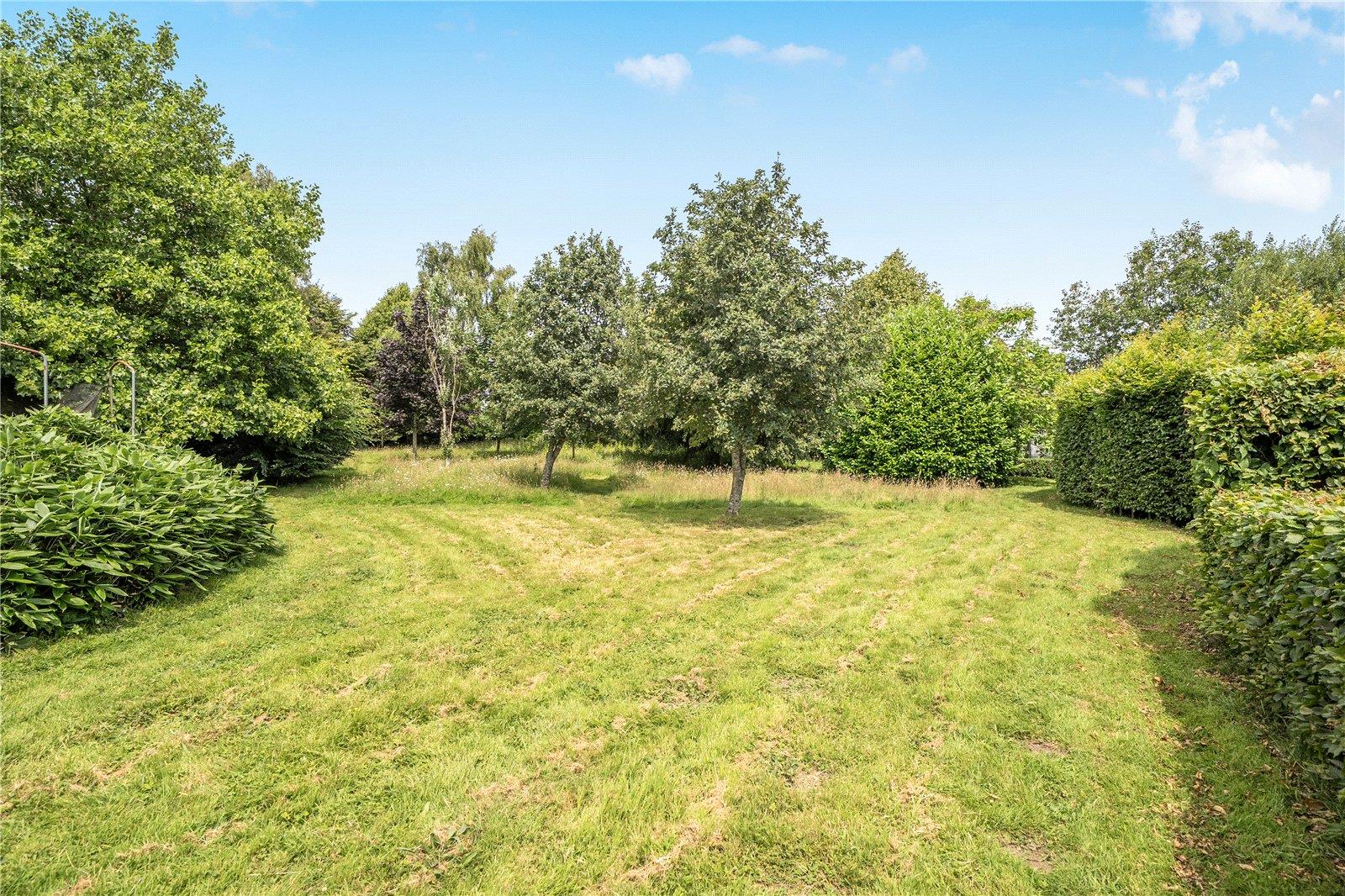 Property Image 6977911b-aea9-486a-a734-4b782ebf7506