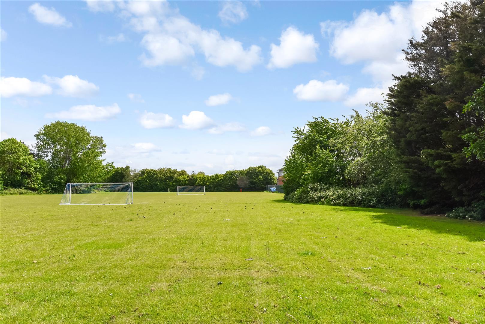 Property Image 697b9e09-48e4-46c1-9841-30fef043d149