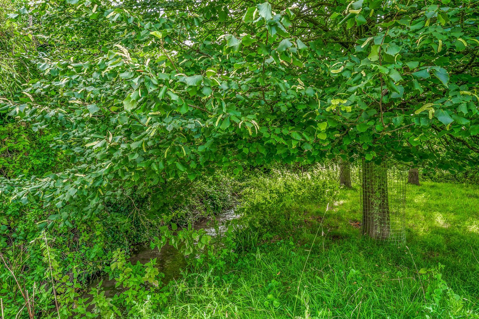 Property Image 698cdfd0-0bc1-4ed9-a4d5-4f4a8c9c377b