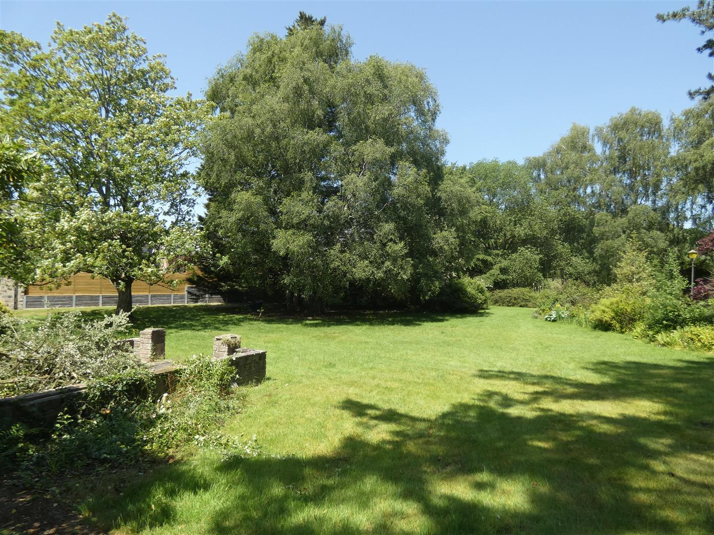 Property Image 6a4e47da-15ba-4adc-ad24-3c4deedd9f1f