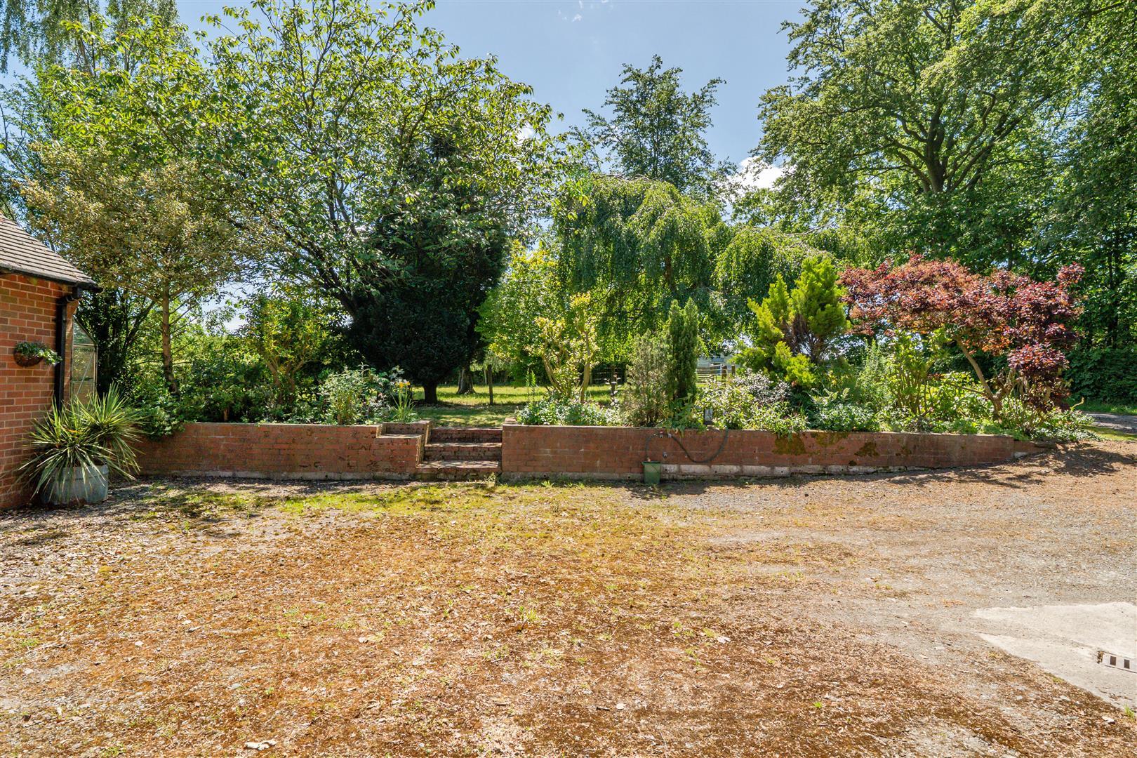 Image 29