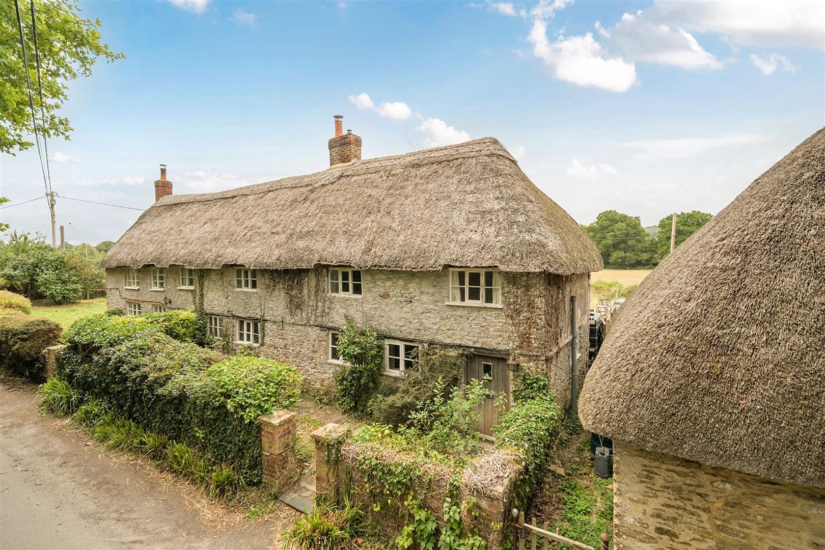 Property Image 6a7e423c-bc8c-4507-805f-fdb95c8b1ca4
