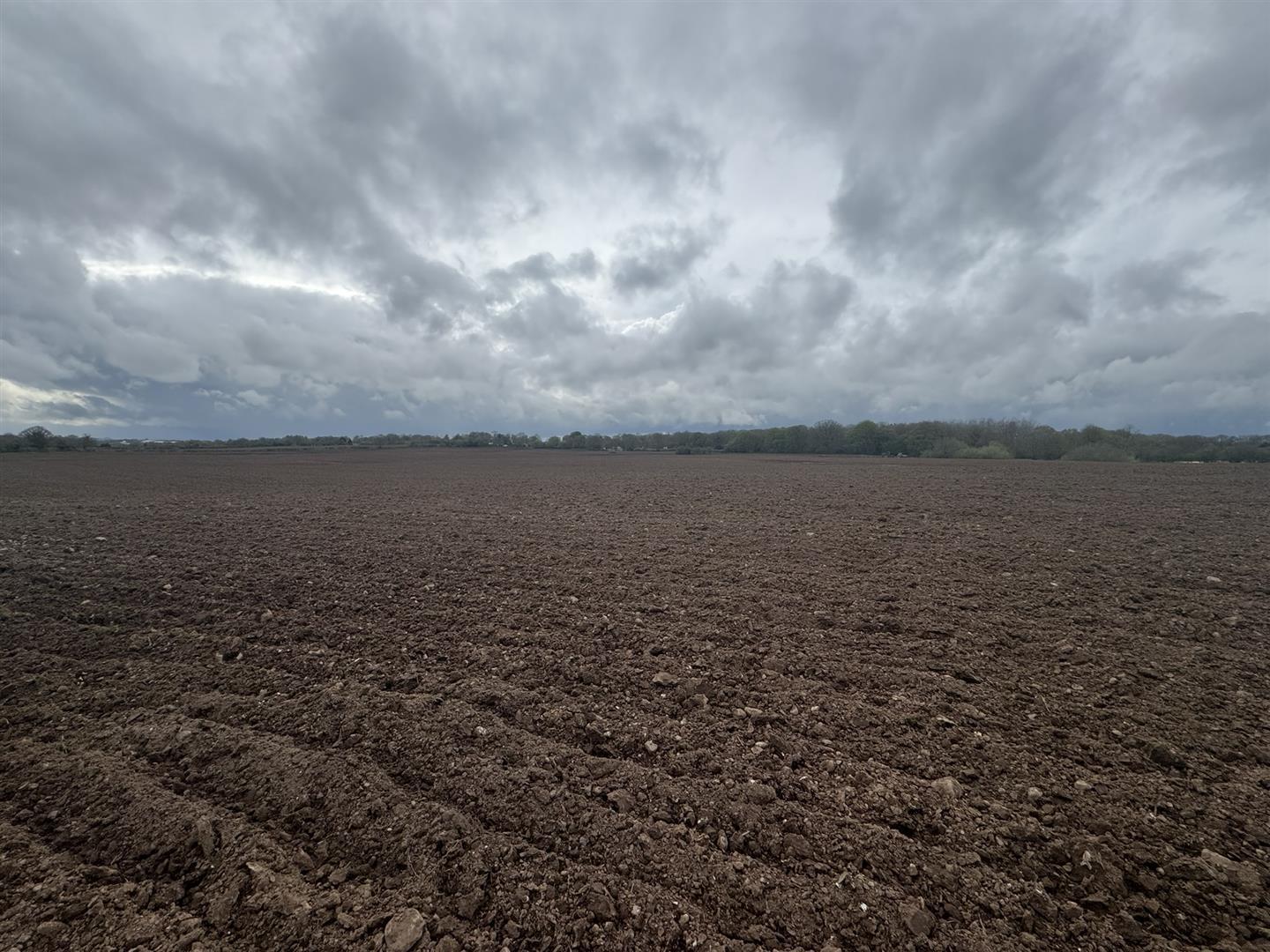 Property Image 6a94ecb2-c7a0-4a1b-b6f0-0c4325511167