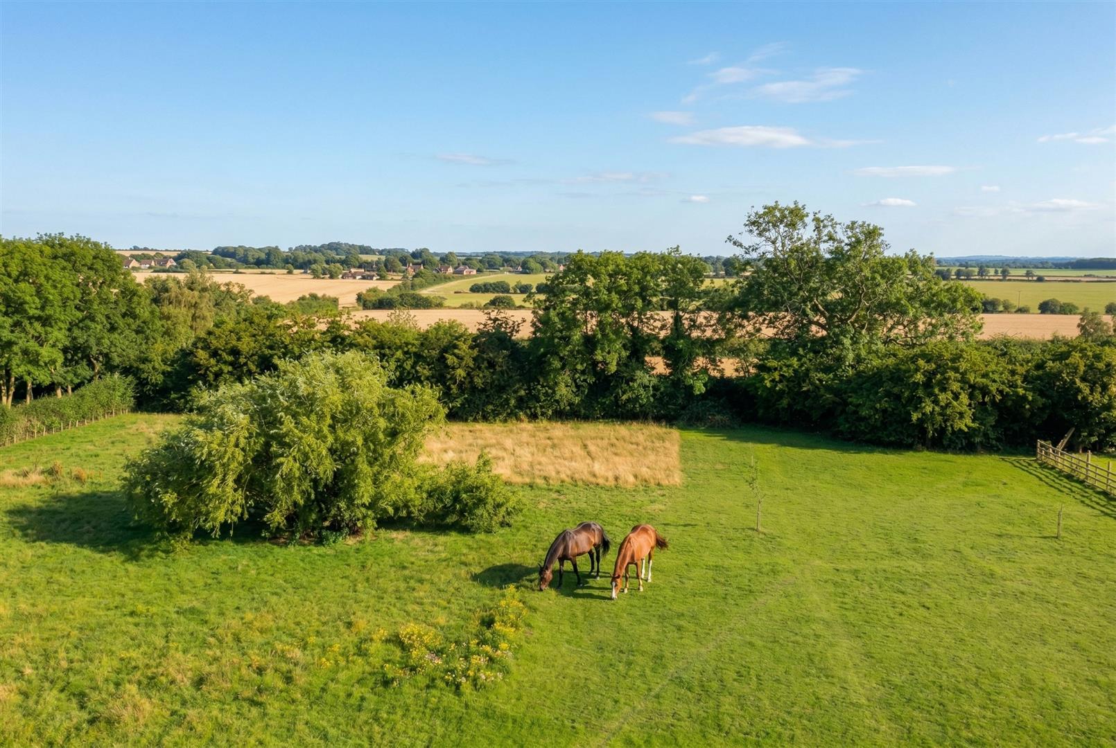 Property Image 6ad872fd-faf7-48d6-bdb4-2b937a4d59ff