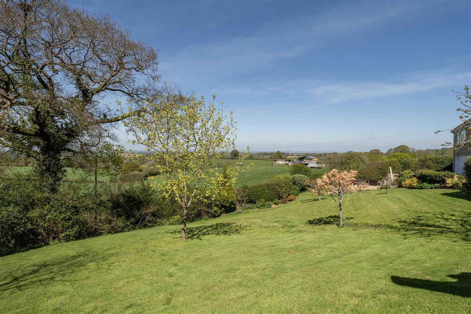 Property Image 6adc8f4e-0992-457f-b4d3-4c793e581ea1