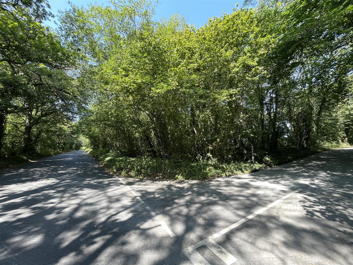 Property Image 6b39ee6d-1fc1-47e9-af74-f93886acdd1d