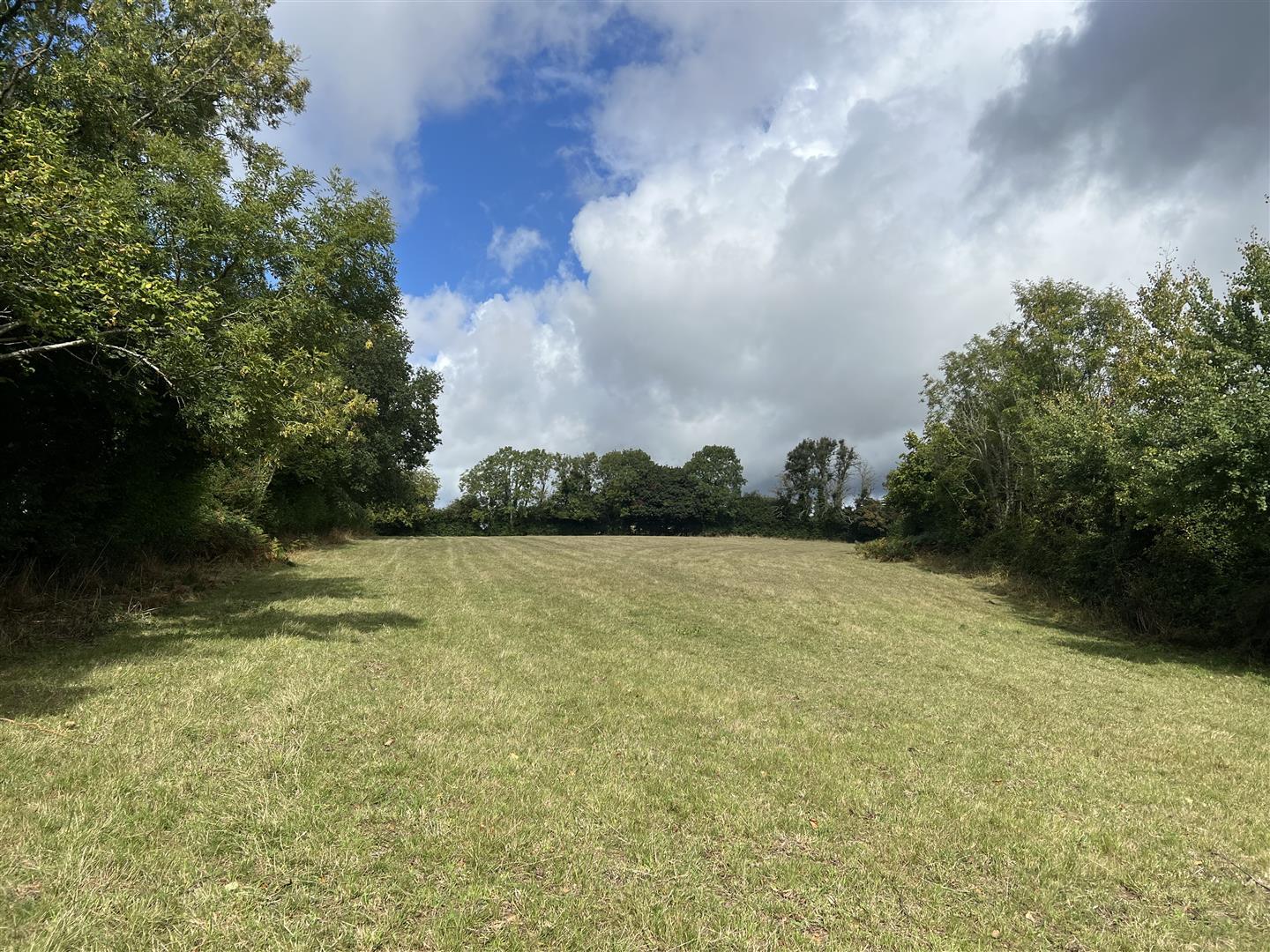 Property Image 6b5b0f0e-f9ac-44ea-9aef-d925cd407a16