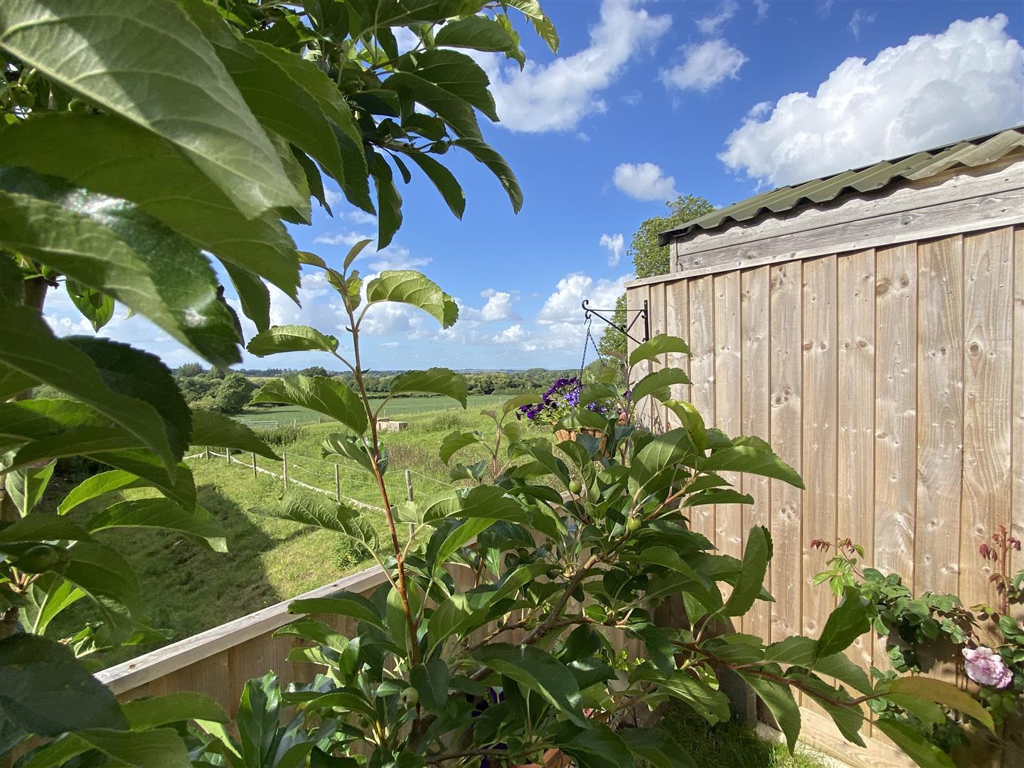 Property Image 6b6ffb96-1eea-4991-95be-233064f72078