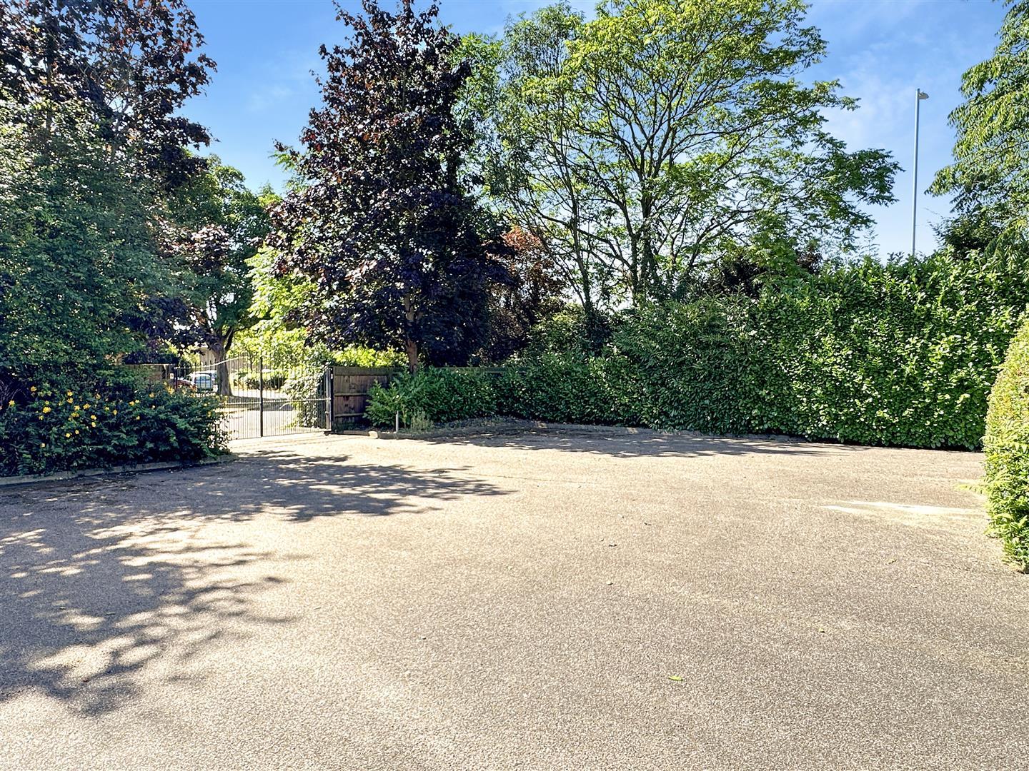 Property Image 6b727504-21ef-4195-9090-afbcbab38e9b