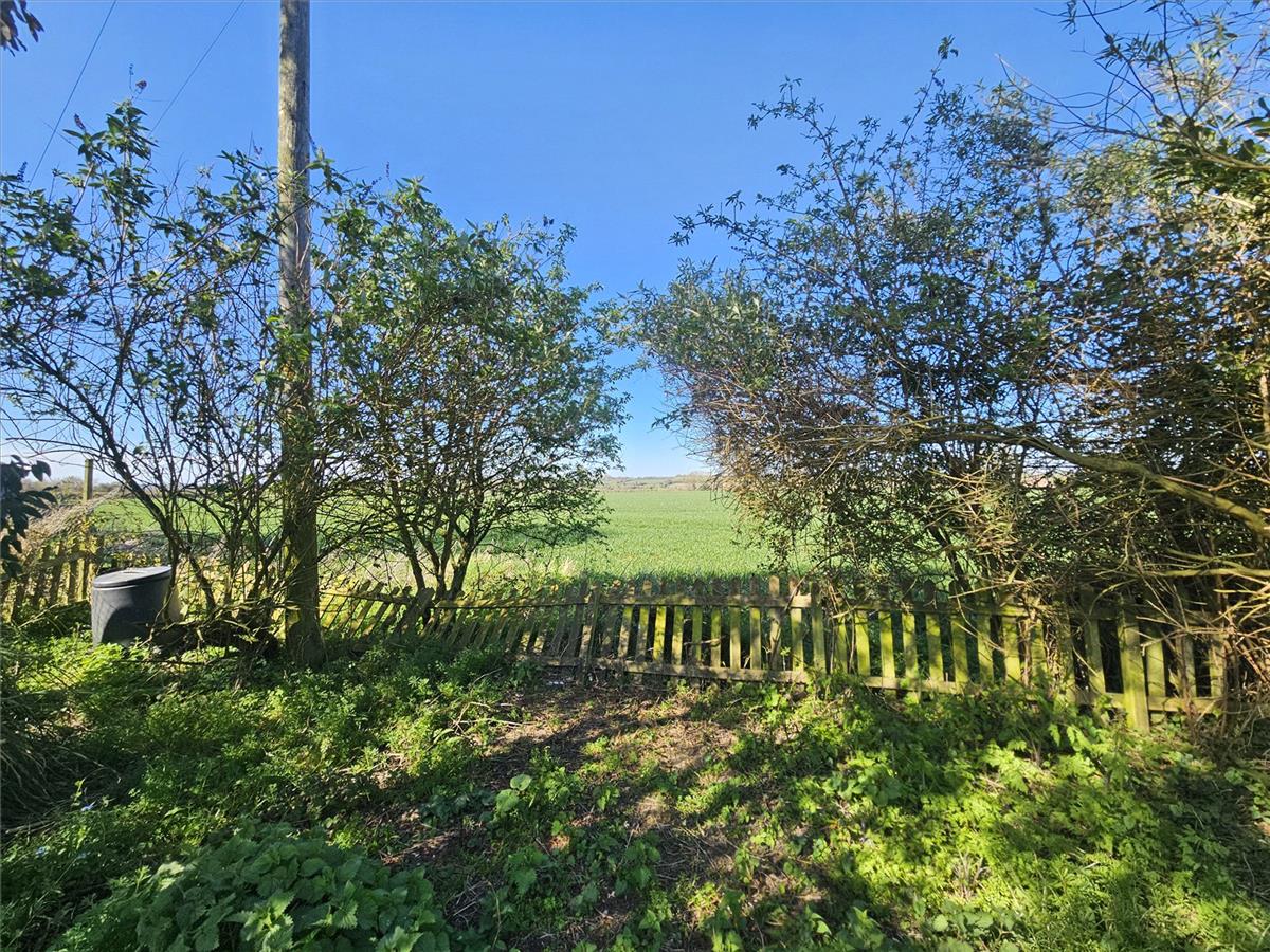 Property Image 6bd79dca-75a9-4d18-8ca1-07be9e1624ea