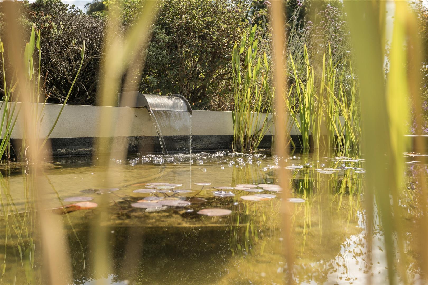 Property Image 6bde2c27-3b51-42cc-8017-7e5e352ab36d