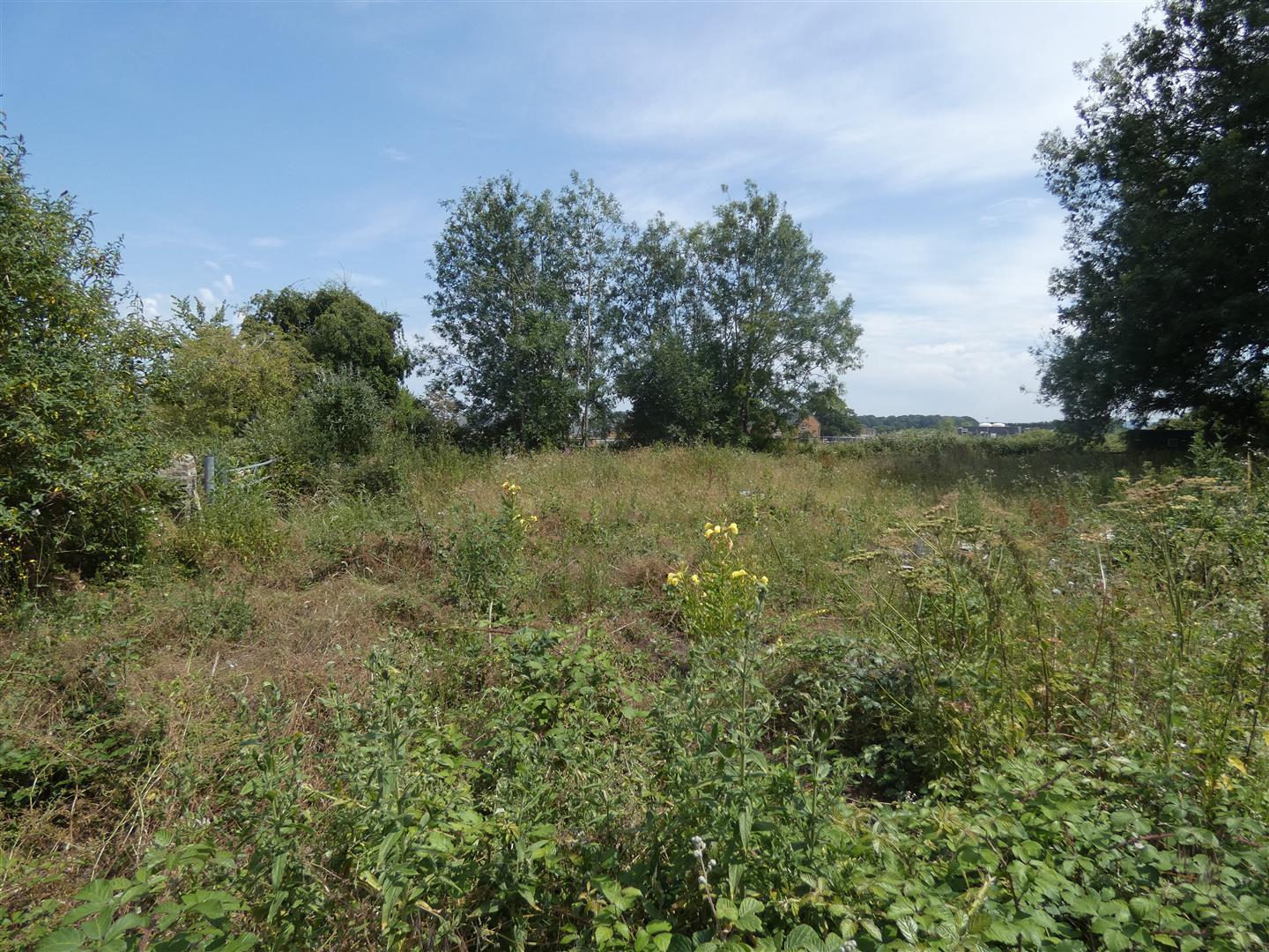 Property Image 6be3bb8a-085c-4b4a-b3b9-c7c833dc4472