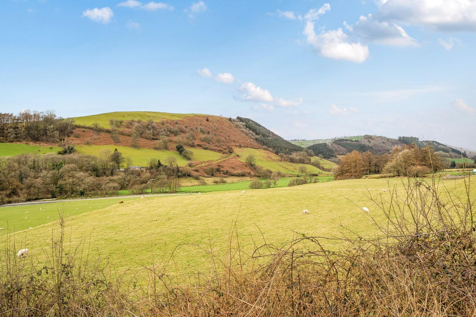 Property Image 6bf65666-92f2-4551-a792-6746089ea944