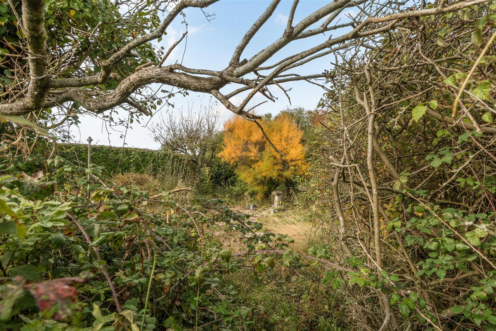 Property Image 6c06c381-fd20-4da3-9bdb-2471dedd8a35
