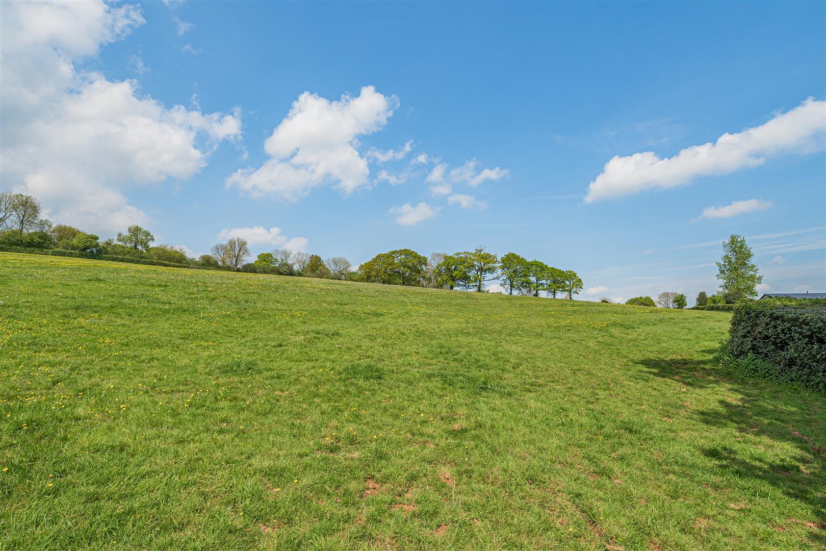 Property Image 6c1c347e-e46f-4da0-8f64-63dc1f111d77