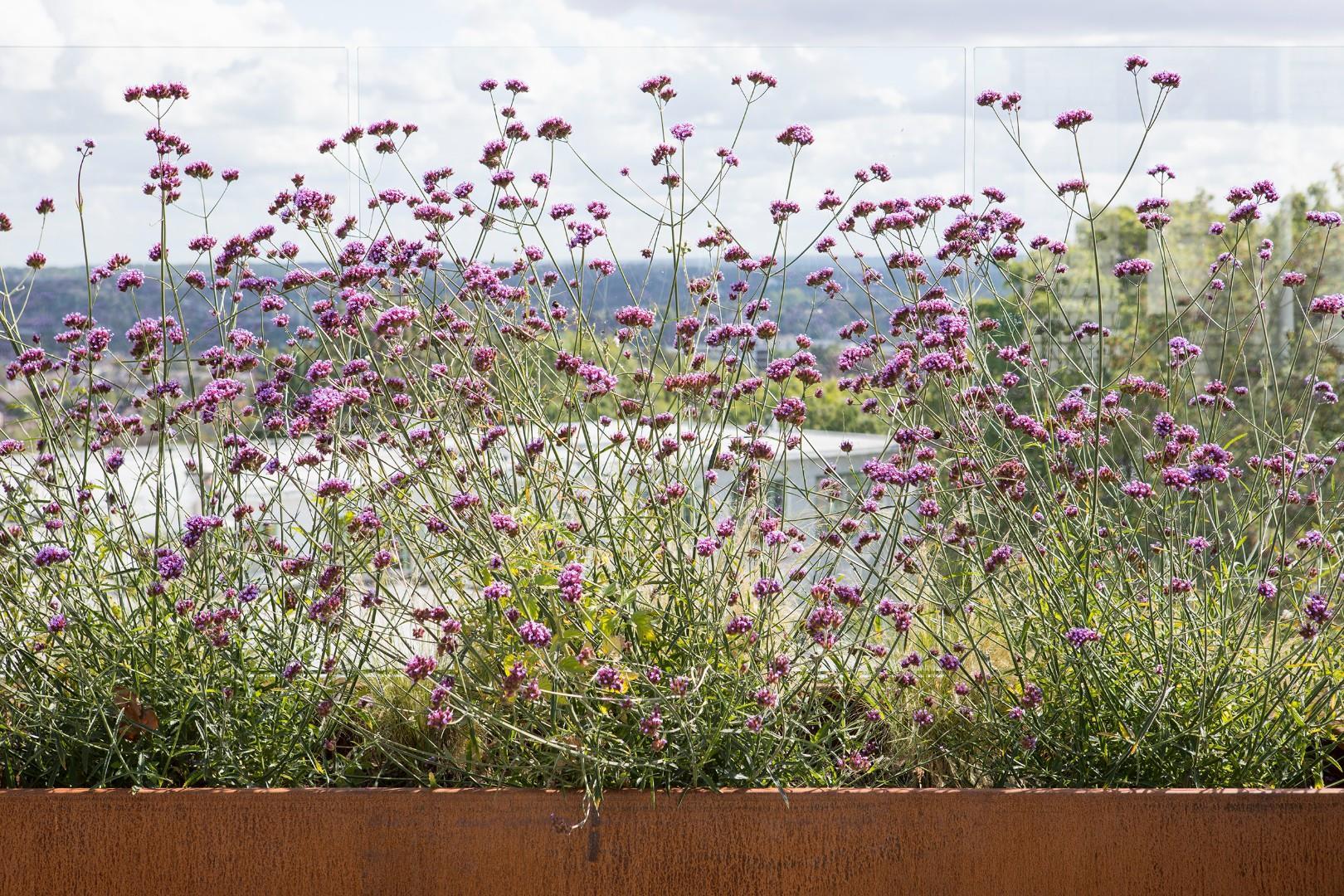 Property Image 6c2a75c9-c243-412b-a5fb-f807b878cd42