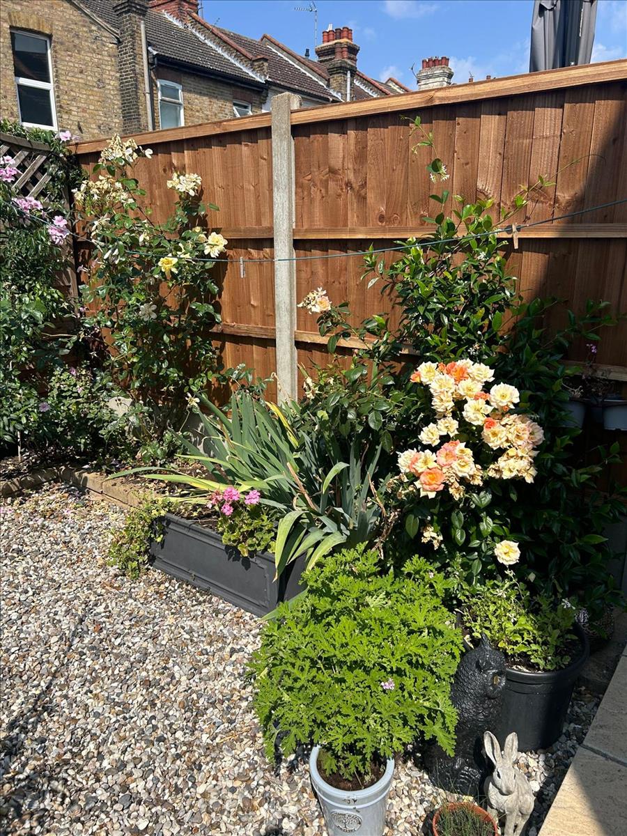 Property Image 6c367364-0d24-49f4-b4a1-b4c624a665a4