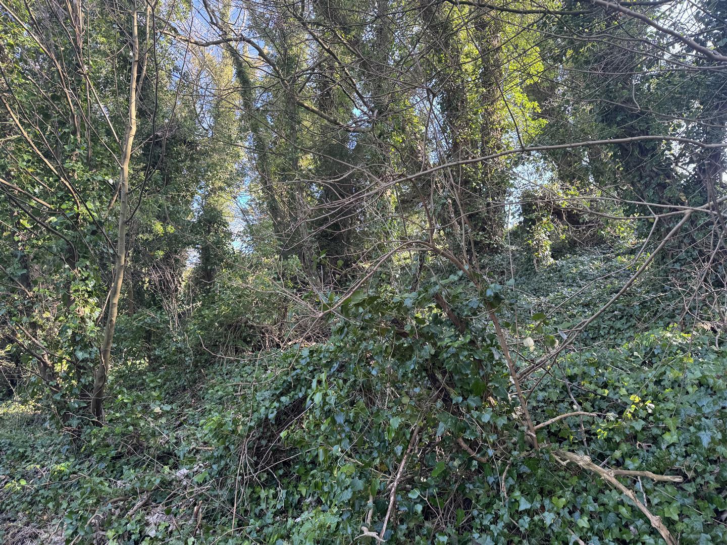 Property Image 6cb32ffa-46e1-4a86-9619-4253e568ffb2