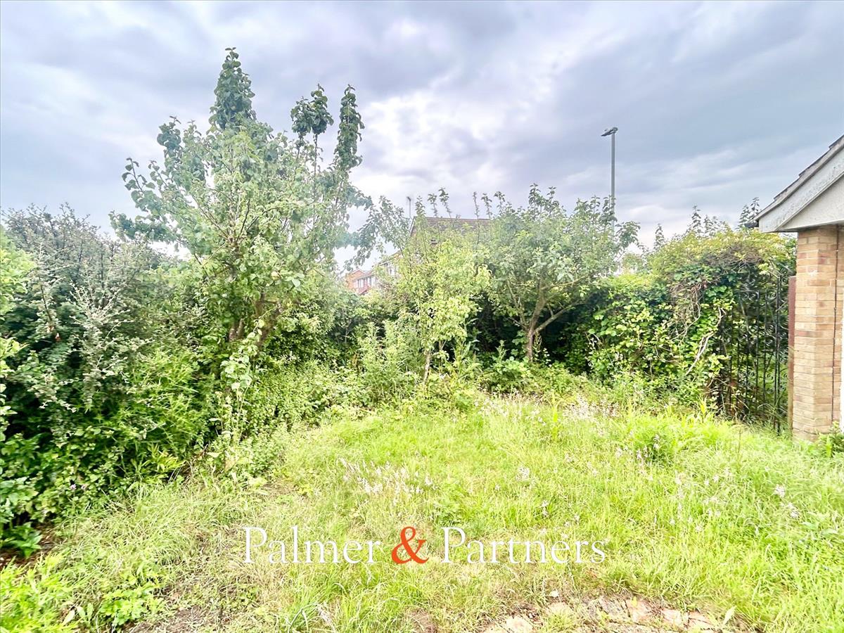 Property Image 6cc3b67d-6559-4a93-80c0-524d24443fc2