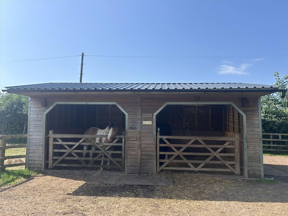 Property Image 6d068ac2-91d8-4a4c-b18d-3041c852ba84