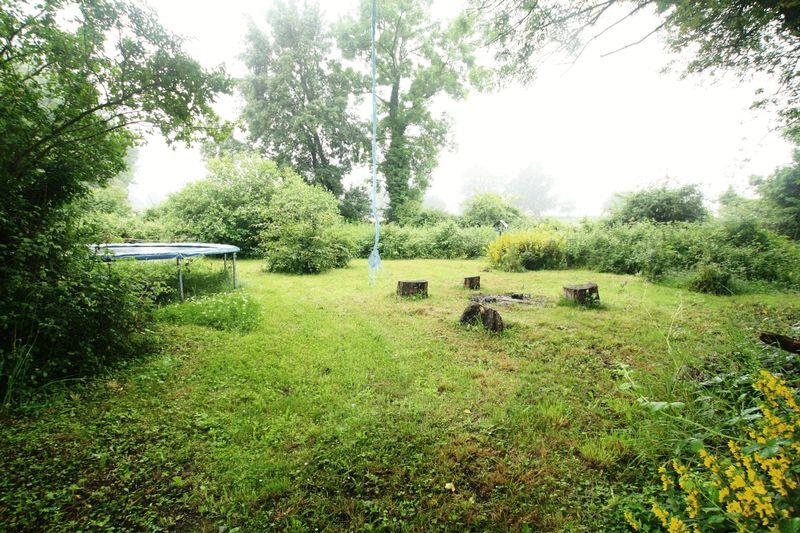 Image 13