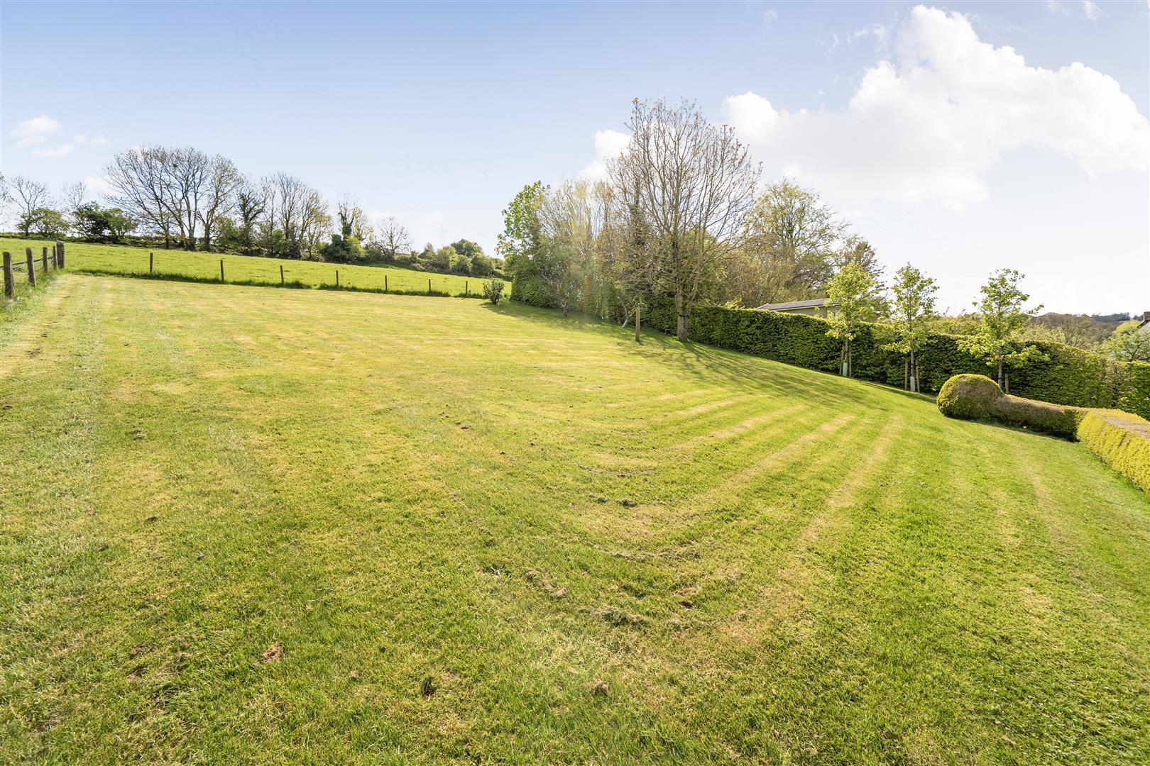 Image 21
