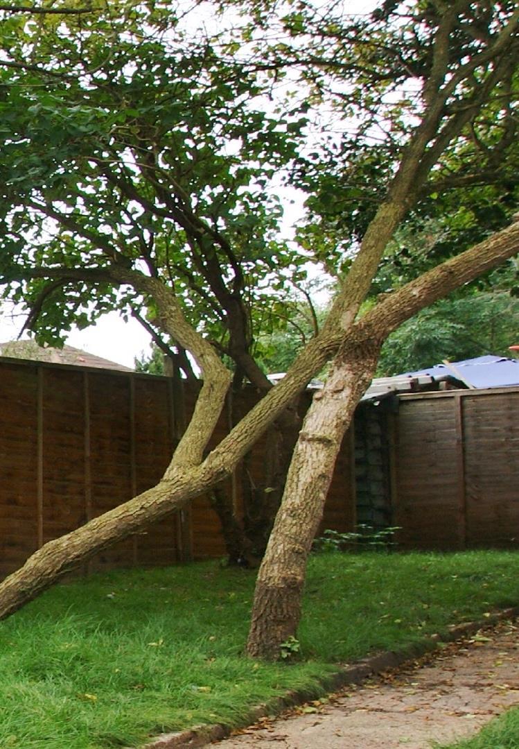 Property Image 6d2004cf-84df-49c7-9966-66115f6186a9