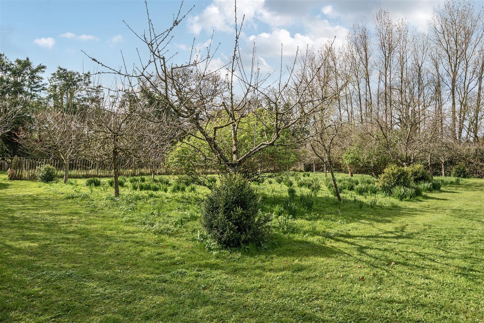 Property Image 6d2717cb-29ac-43f0-9613-bf82ebc12680
