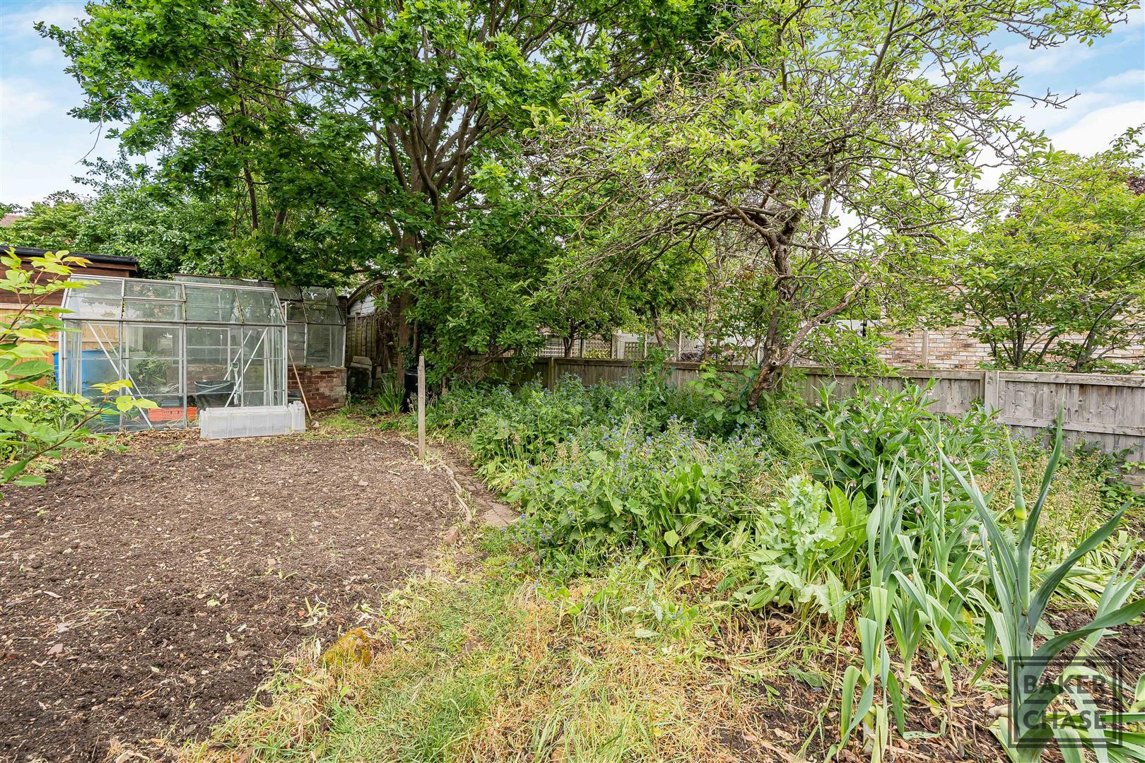 Image 30