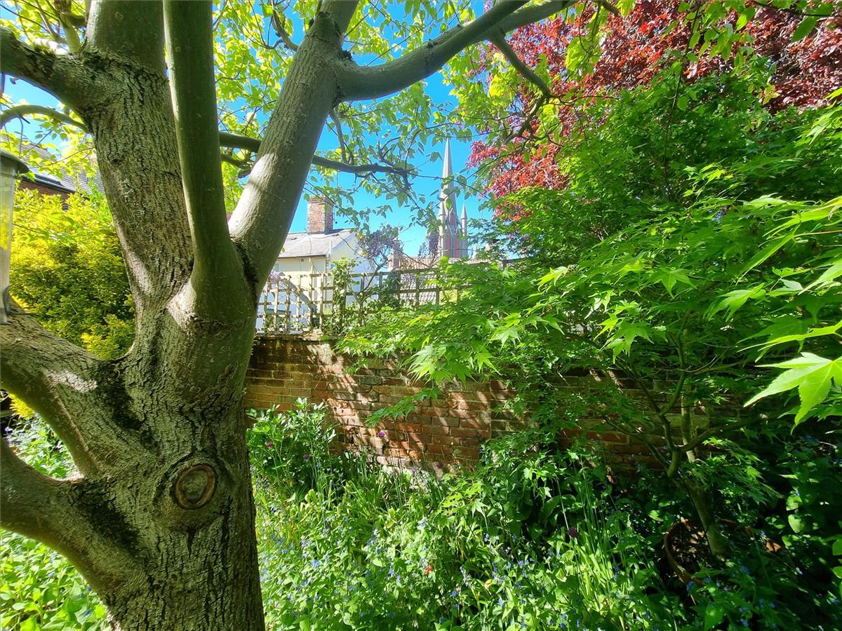 Property Image 6d440115-8466-4b18-abce-12f70c7eb291
