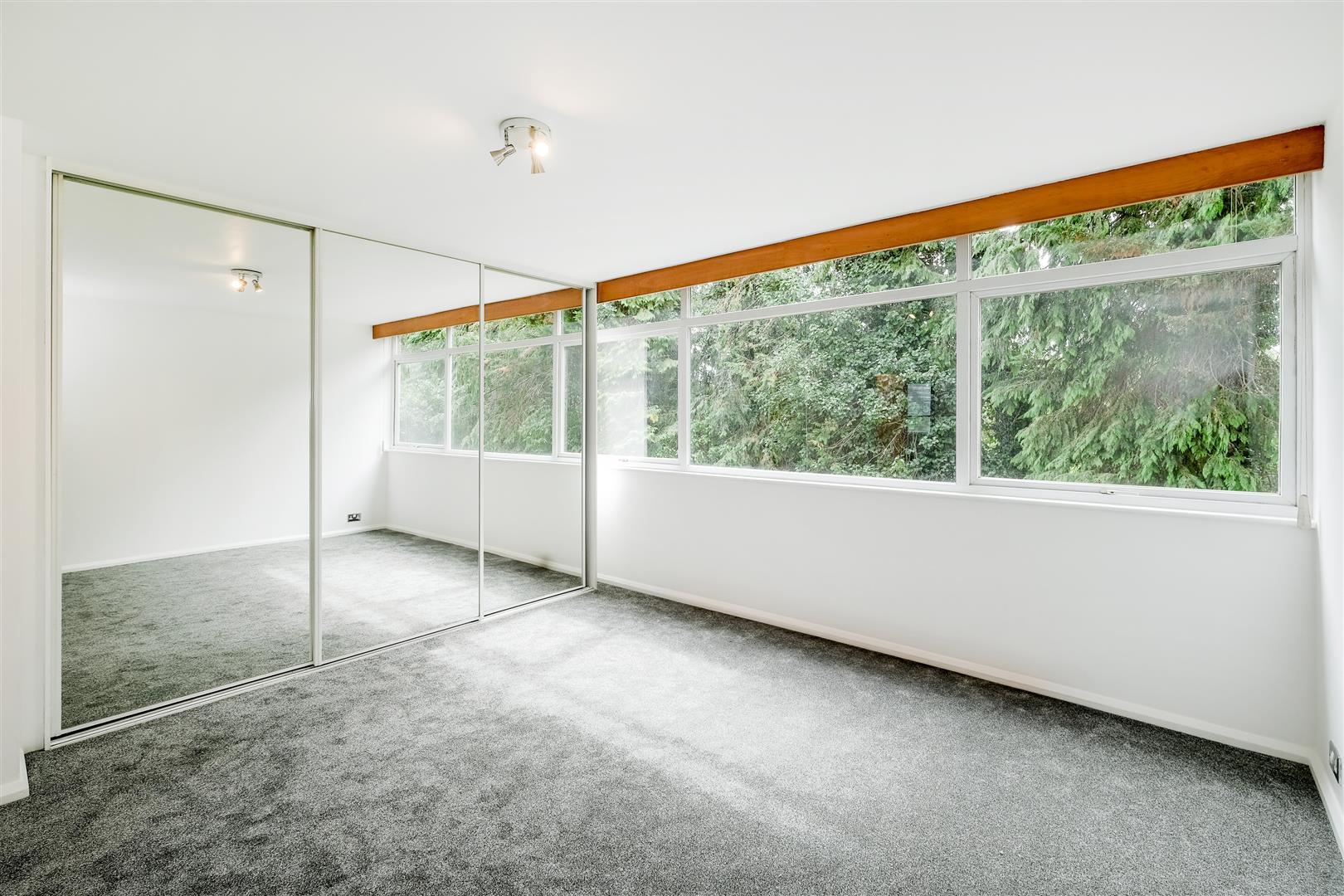 Property Image 6d59c3b7-9940-41db-8734-11bc4cff1f1c