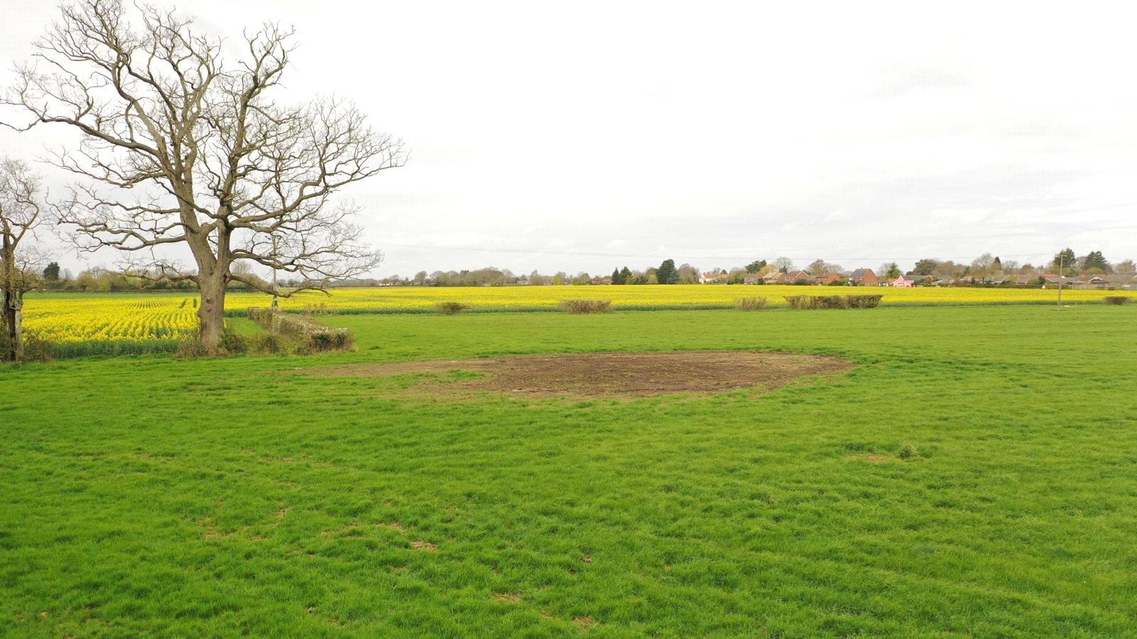 Property Image 6d939c53-0f82-4b1d-8de8-c5c657b55894