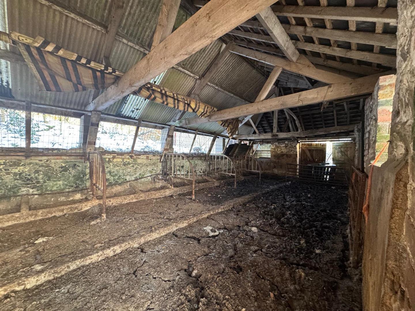 Image 21