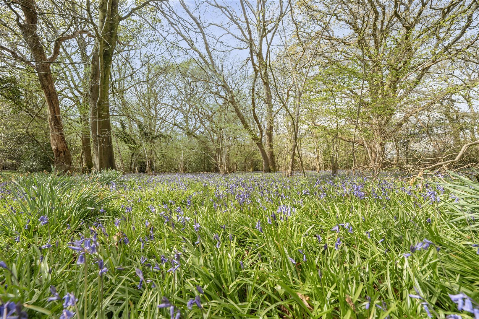Property Image 6dd7c3ec-6bc3-4bf4-8ed0-4254c2f0a70c